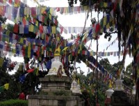 Swayambhunath ( Monkey Temple)