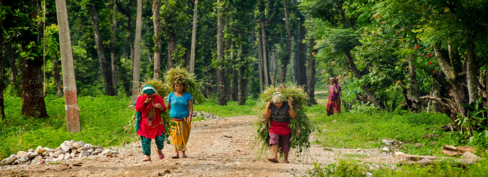 Immerse yourself in local culture
