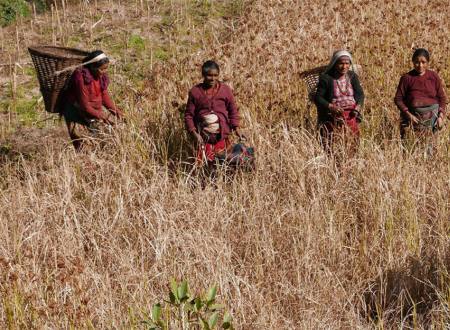 The Forgotten Indigenous People Trail  